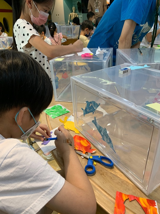 幼兒園：小海龜的超級任務(7/19-20)-圖片44