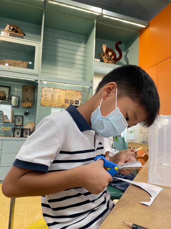 幼兒園：小海龜的超級任務(7/19-20)-圖片46