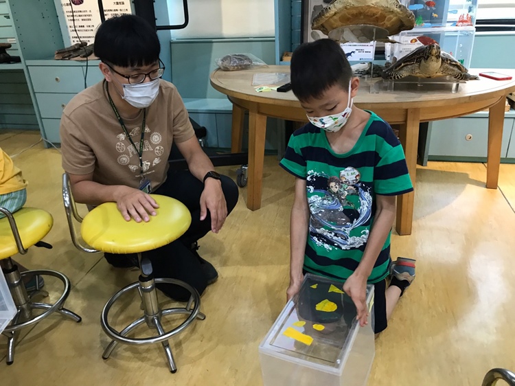 幼兒園：小海龜的超級任務(7/19-20)-圖片48