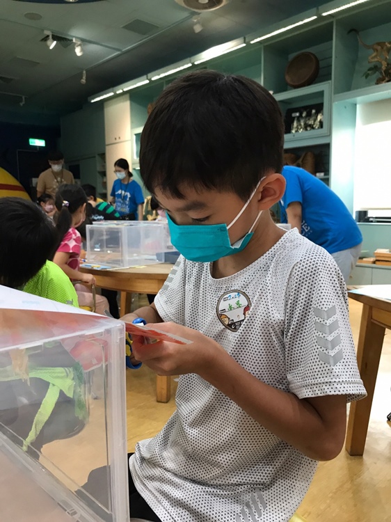 幼兒園：小海龜的超級任務(7/19-20)-圖片55