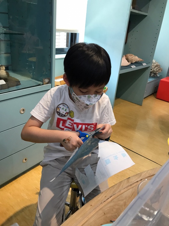幼兒園：小海龜的超級任務(7/19-20)-圖片56