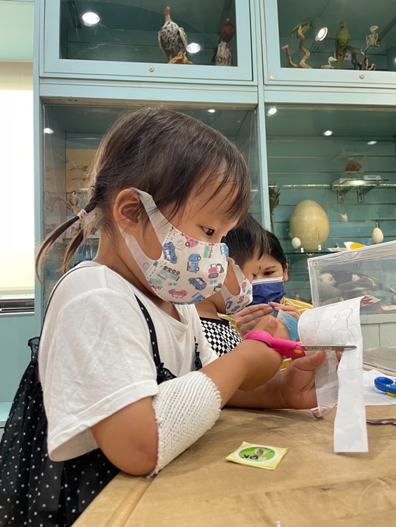 幼兒園：小海龜的超級任務(7/19-20)-圖片57