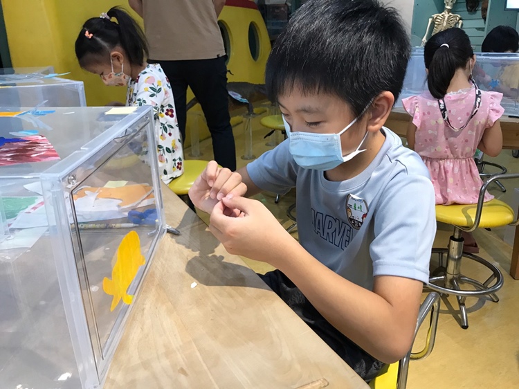 幼兒園：小海龜的超級任務(7/19-20)-圖片58