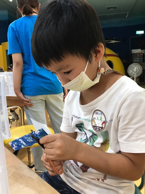 幼兒園：小海龜的超級任務(7/19-20)-圖片60