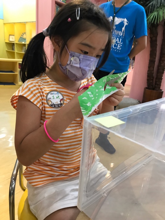 幼兒園：小海龜的超級任務(7/19-20)-圖片63