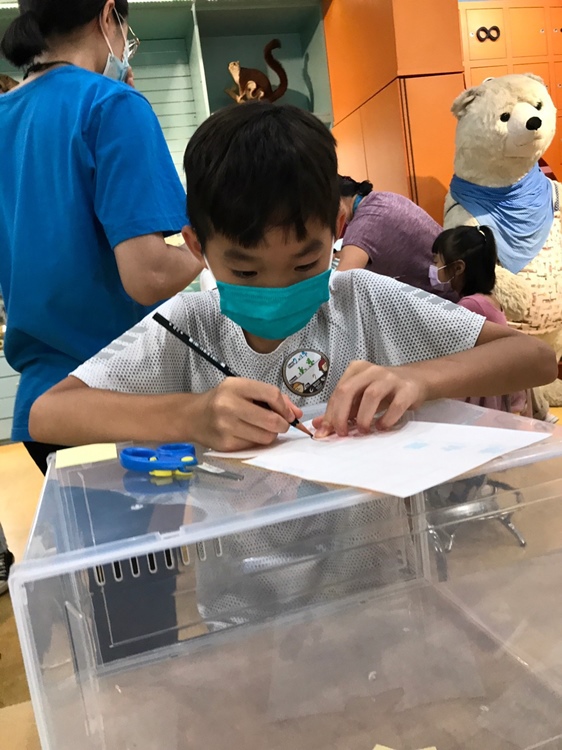 幼兒園：小海龜的超級任務(7/19-20)-圖片66