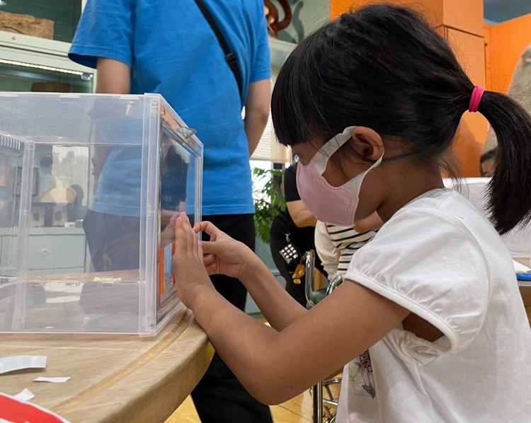 幼兒園：小海龜的超級任務(7/19-20)-圖片68