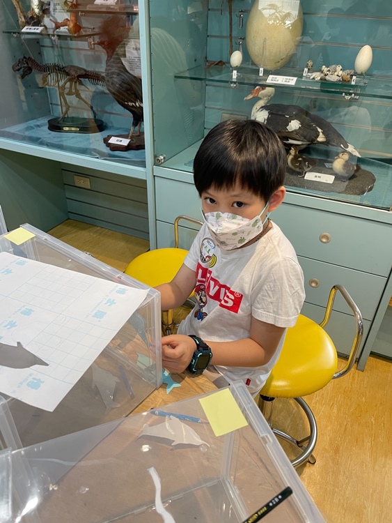 幼兒園：小海龜的超級任務(7/19-20)-圖片90