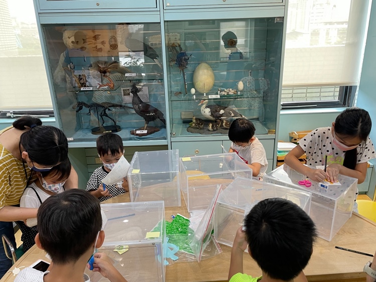 幼兒園：小海龜的超級任務(7/19-20)-圖片113