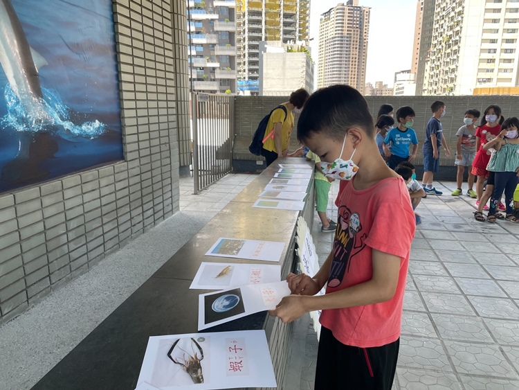 幼兒園：小海龜的超級任務(7/19-20)-圖片115