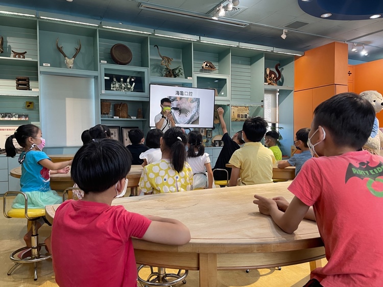 幼兒園：小海龜的超級任務(7/19-20)-圖片119