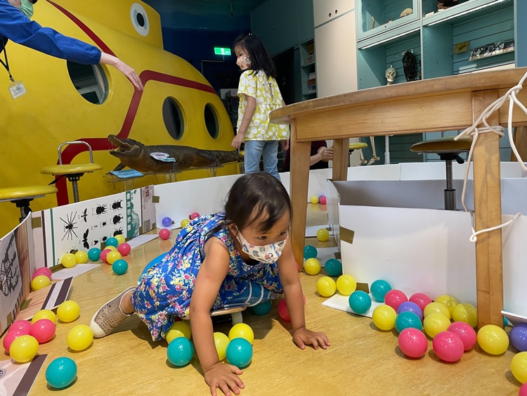 幼兒園：小海龜的超級任務(7/19-20)-圖片152