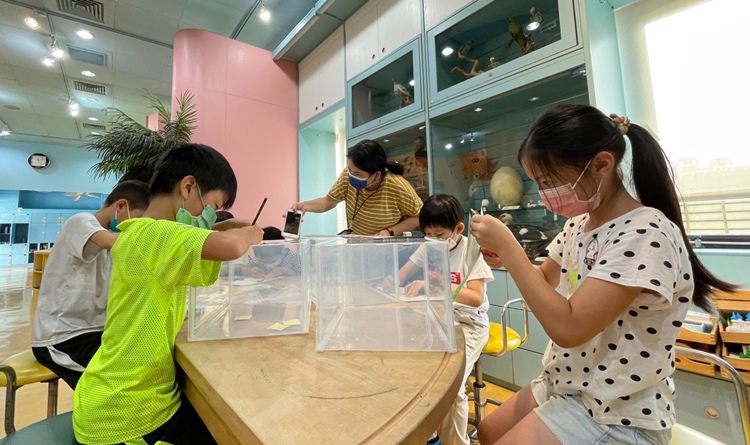 幼兒園：小海龜的超級任務(7/19-20)-圖片161
