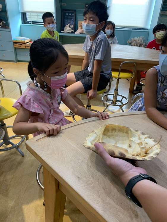 幼兒園：小海龜的超級任務(7/19-20)-圖片180
