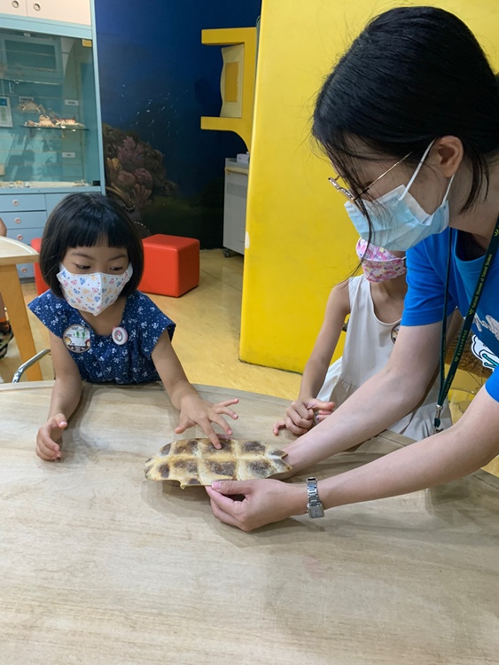 幼兒園：小海龜的超級任務(7/19-20)-圖片181