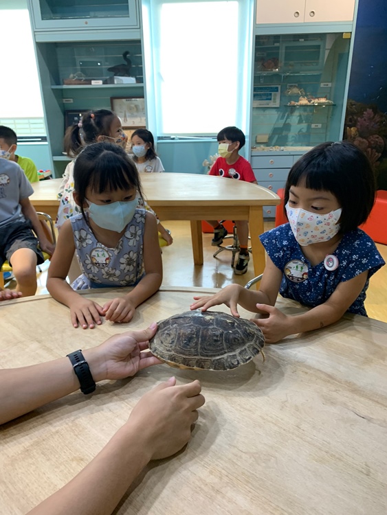 幼兒園：小海龜的超級任務(7/19-20)-圖片183