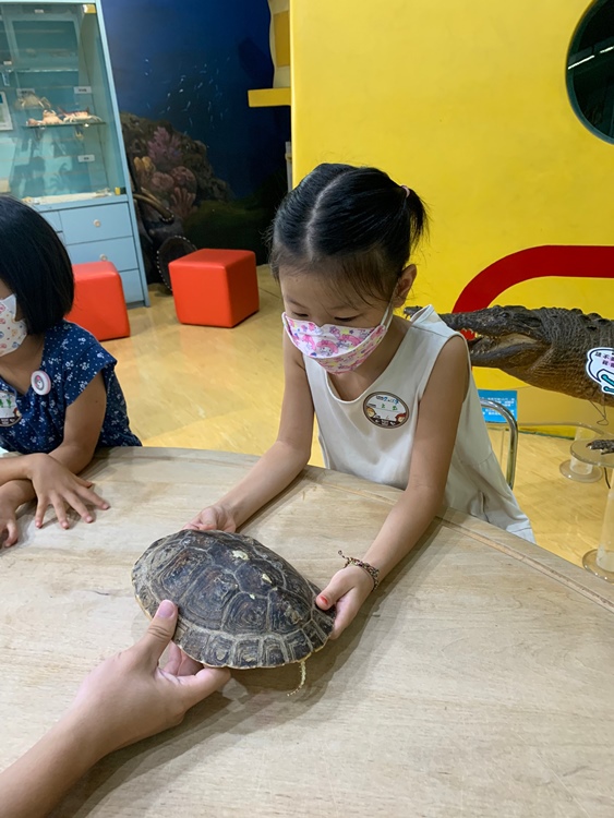 幼兒園：小海龜的超級任務(7/19-20)-圖片185