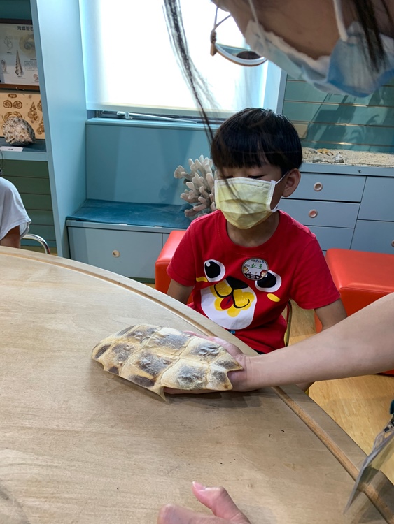 幼兒園：小海龜的超級任務(7/19-20)-圖片186