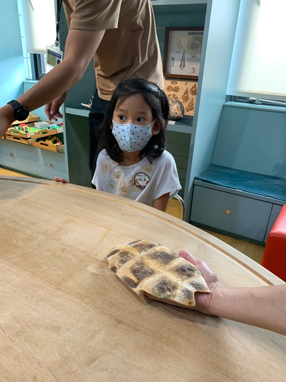 幼兒園：小海龜的超級任務(7/19-20)-圖片187