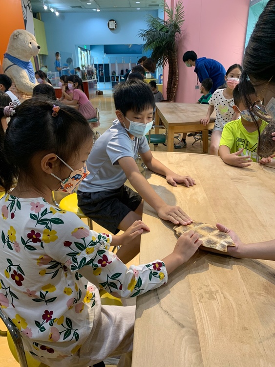 幼兒園：小海龜的超級任務(7/19-20)-圖片189