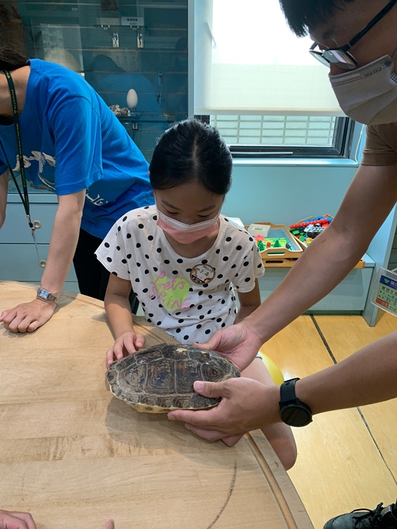 幼兒園：小海龜的超級任務(7/19-20)-圖片190