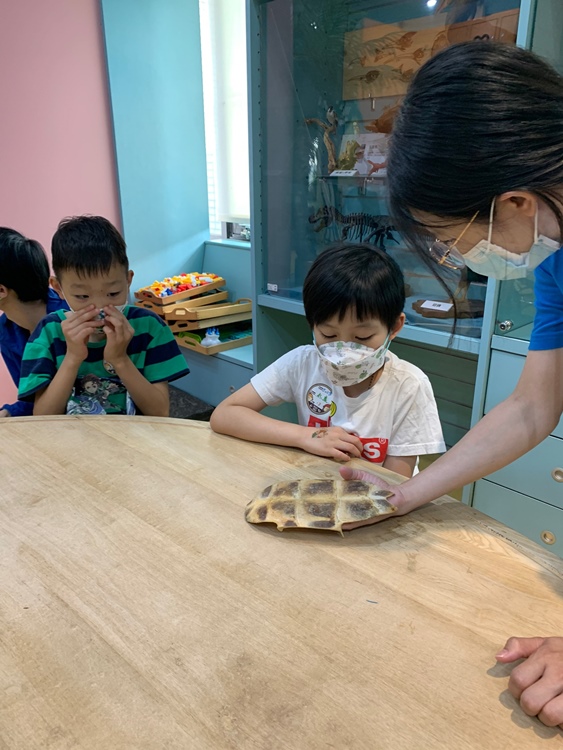幼兒園：小海龜的超級任務(7/19-20)-圖片191