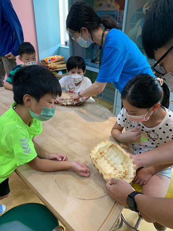幼兒園：小海龜的超級任務(7/19-20)-圖片192
