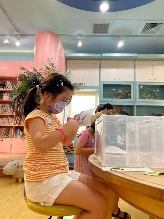 幼兒園：小海龜的超級任務(7/19-20)-圖片193