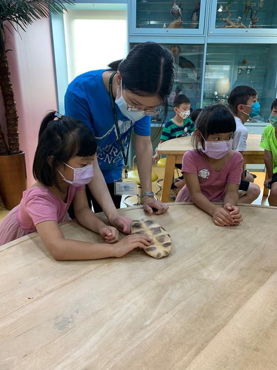 幼兒園：小海龜的超級任務(7/19-20)-圖片195