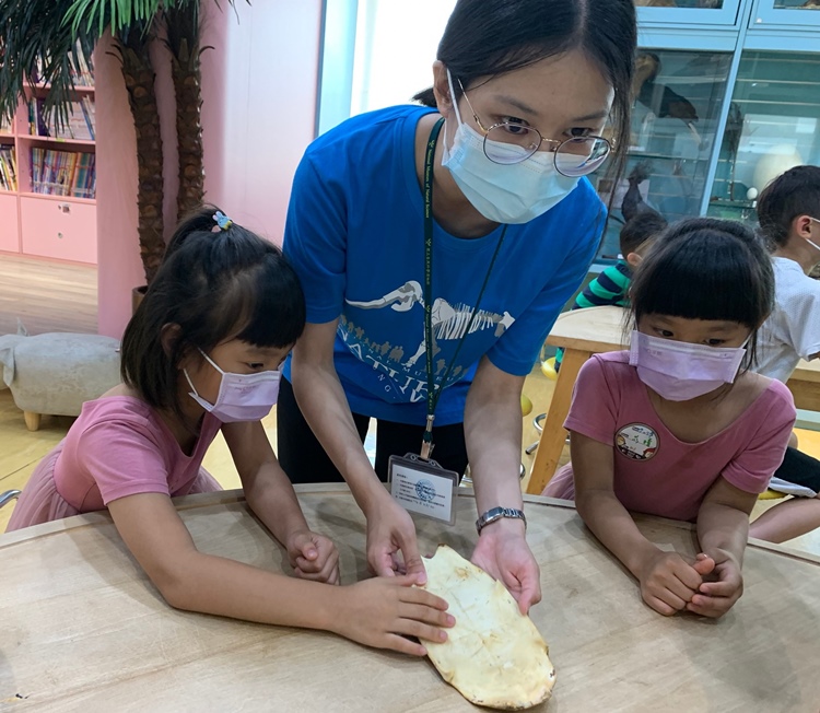 幼兒園：小海龜的超級任務(7/19-20)-圖片198