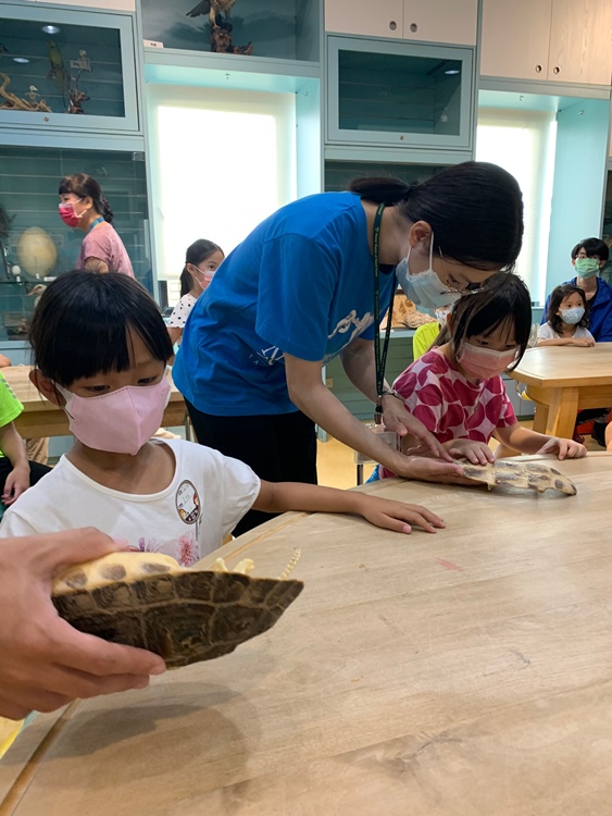 幼兒園：小海龜的超級任務(7/19-20)-圖片201