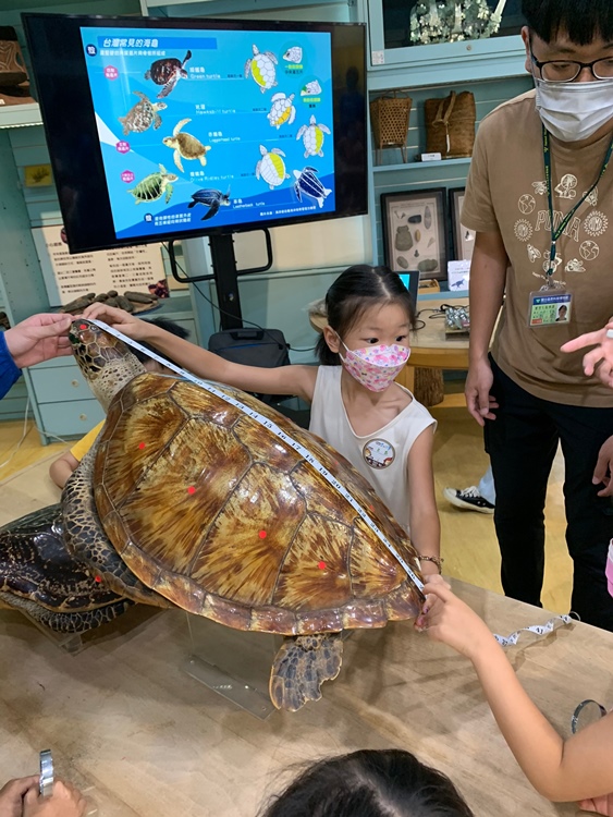 幼兒園：小海龜的超級任務(7/19-20)-圖片206