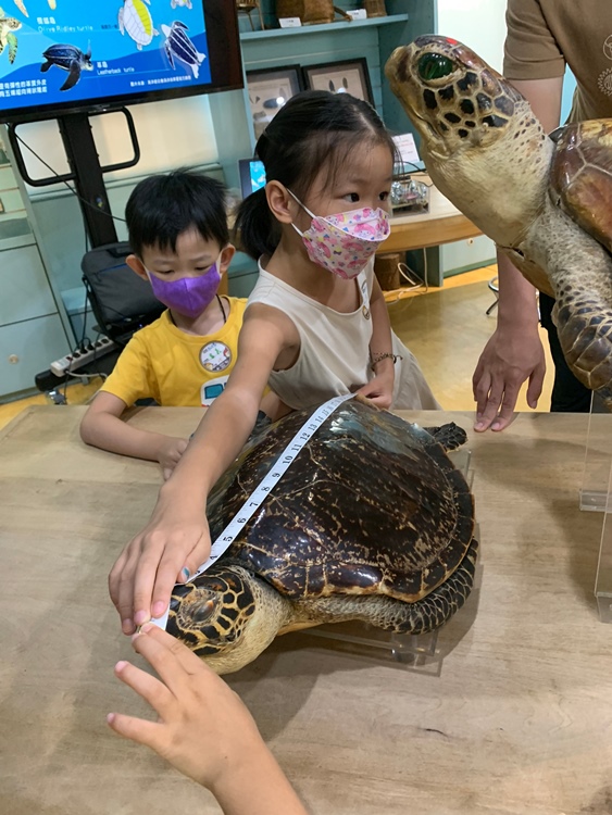 幼兒園：小海龜的超級任務(7/19-20)-圖片207