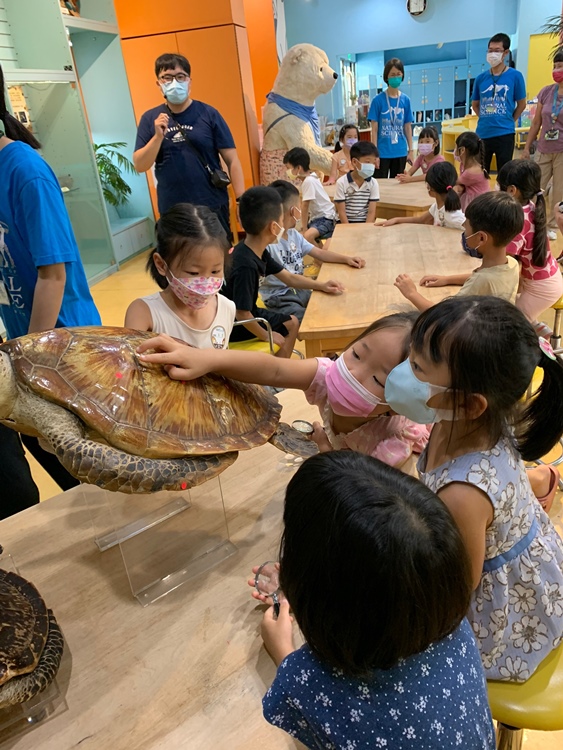 幼兒園：小海龜的超級任務(7/19-20)-圖片208