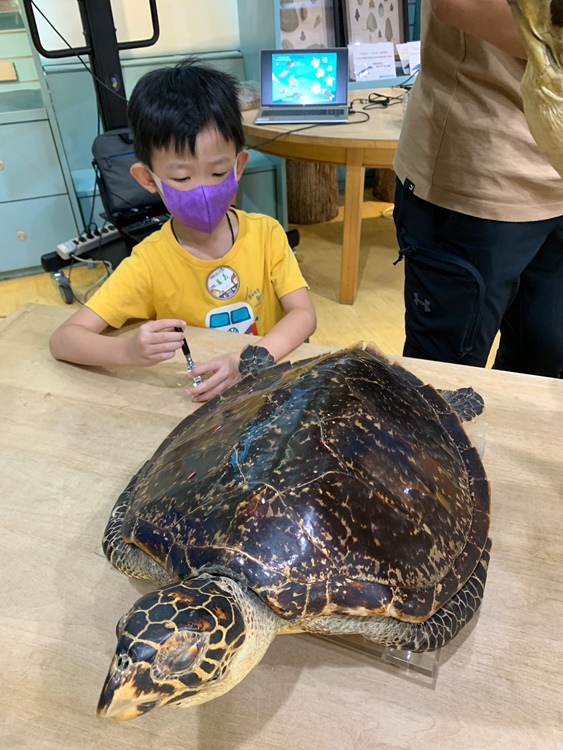 幼兒園：小海龜的超級任務(7/19-20)-圖片209