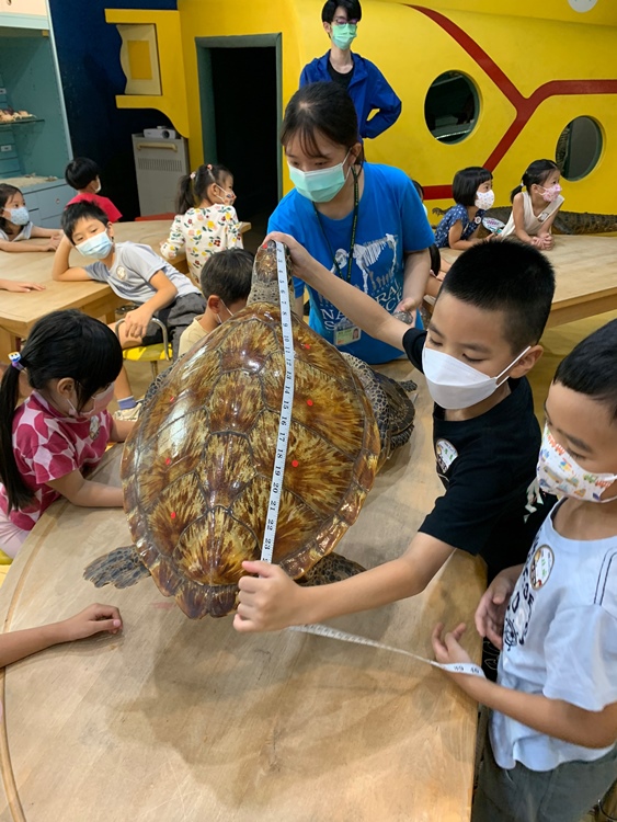 幼兒園：小海龜的超級任務(7/19-20)-圖片210