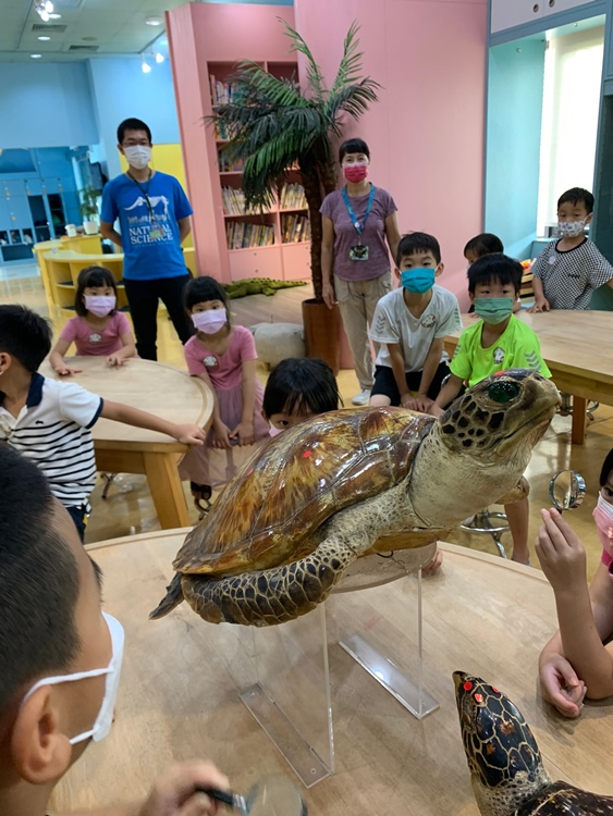幼兒園：小海龜的超級任務(7/19-20)-圖片211