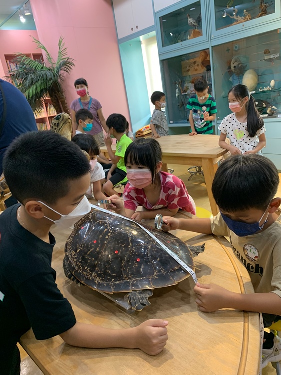 幼兒園：小海龜的超級任務(7/19-20)-圖片212