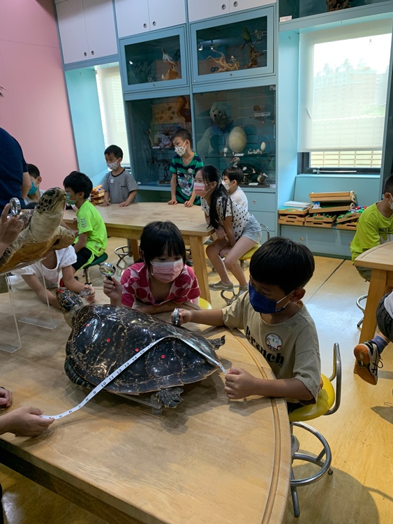 幼兒園：小海龜的超級任務(7/19-20)-圖片213