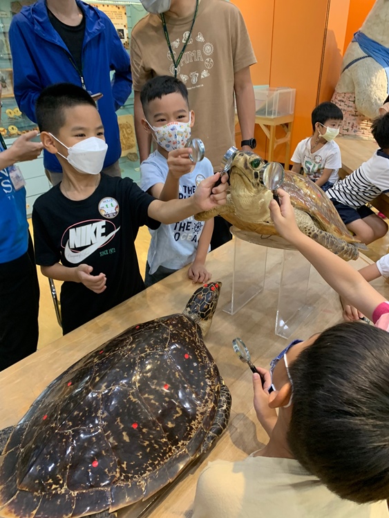 幼兒園：小海龜的超級任務(7/19-20)-圖片214