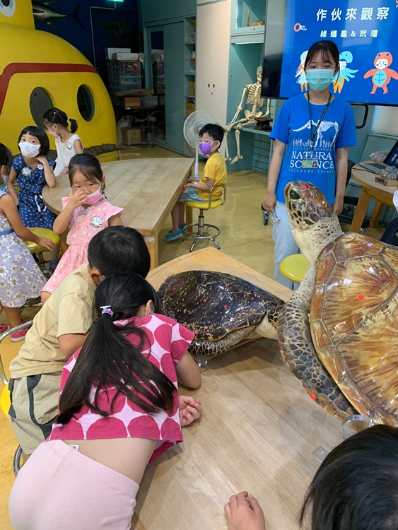 幼兒園：小海龜的超級任務(7/19-20)-圖片216