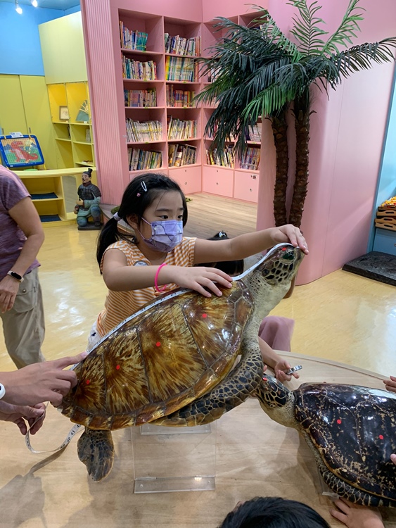 幼兒園：小海龜的超級任務(7/19-20)-圖片217