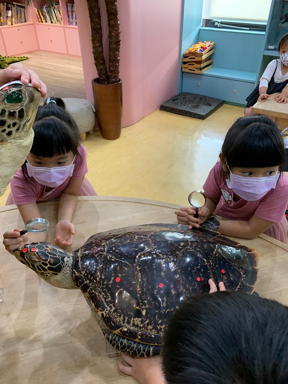 幼兒園：小海龜的超級任務(7/19-20)-圖片218