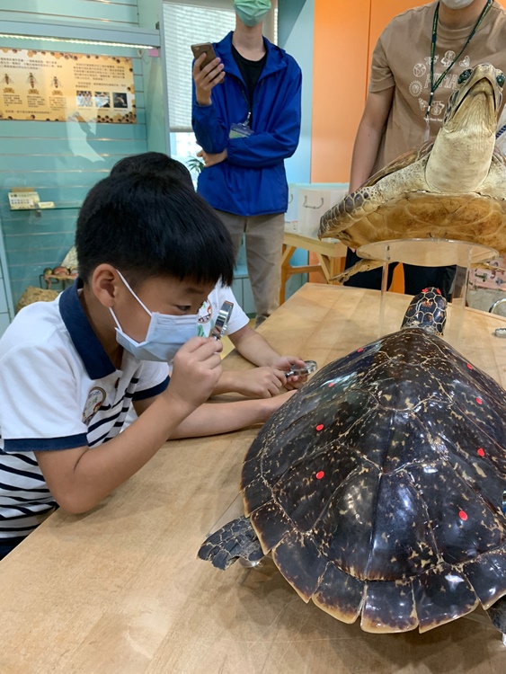 幼兒園：小海龜的超級任務(7/19-20)-圖片219