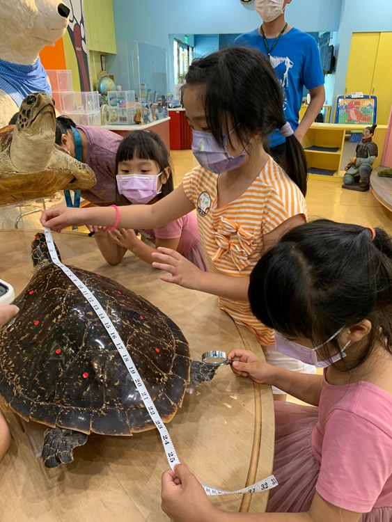 幼兒園：小海龜的超級任務(7/19-20)-圖片220