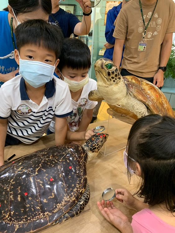 幼兒園：小海龜的超級任務(7/19-20)-圖片221
