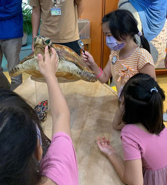 幼兒園：小海龜的超級任務(7/19-20)-圖片222