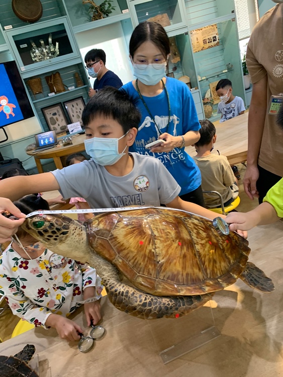 幼兒園：小海龜的超級任務(7/19-20)-圖片223