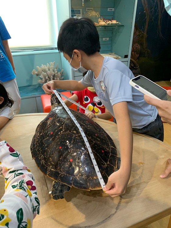 幼兒園：小海龜的超級任務(7/19-20)-圖片224