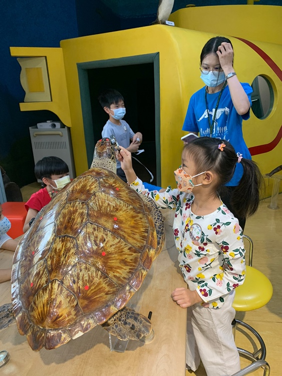 幼兒園：小海龜的超級任務(7/19-20)-圖片225